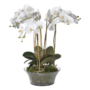 Beautiful white faux orchids arranged in a two-dimensional glass bowl. Dimensions: H:60 W:45 L:45 cm.