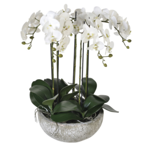 Faux beautiful white medium orchids in ceramic bowl with real feel flowers Dimensions: H:62 W:51 D:51 cm.