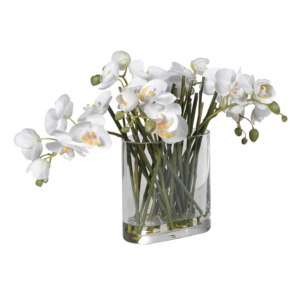 Single white orchids and stems arranged in a beautiful elliptic glass vase. Perfect for, for instance, window settings. Dimensions: H:33 W:33 L:53 cm.