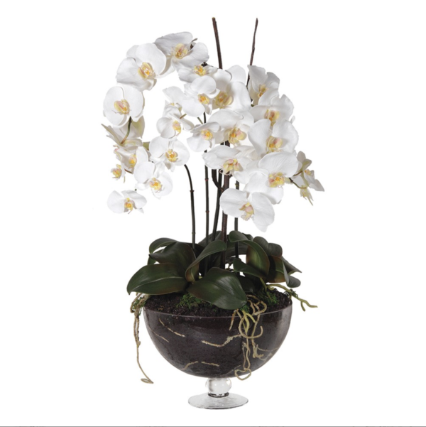 Our large white orchids in a glass bowl on a stem are the epitome of elegance. Featuring large, lifelike flowers with delicate light yellow centers and deep green leaves, these orchids bring a touch of sophistication to any space. They are incredibly realistic, yet require no watering or light maintenance, offering you the beauty of fresh orchids without any of the upkeep. Perfect for enhancing your home or office décor. Measurements: H:79 cm.